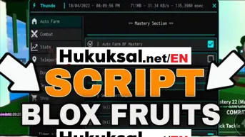 Roblox Blox Fruits Script